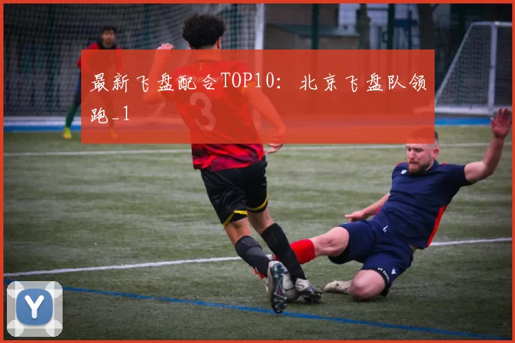 最新飞盘配合TOP10：北京飞盘队领跑_1