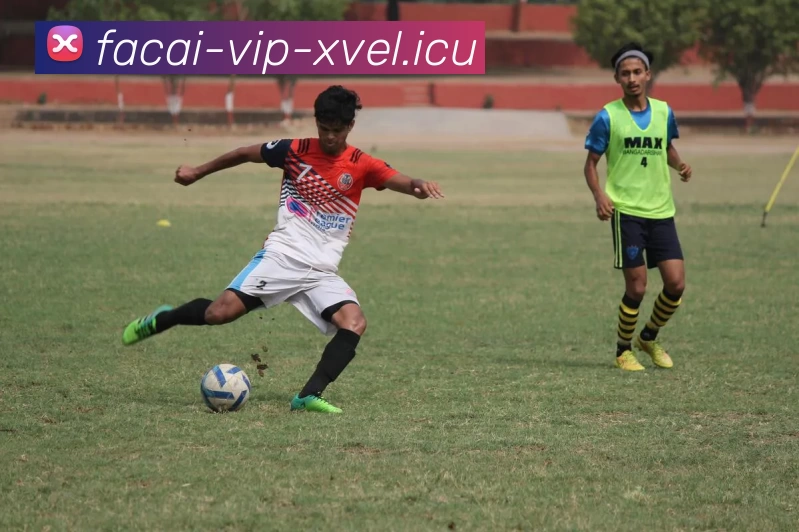 爱游戏体育APP 封面图